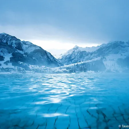 Seeblick By Interhome Appartement Zell am See