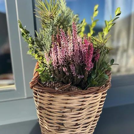Appartamento Seeblick Inkl- Sommerkarte By Interhome *